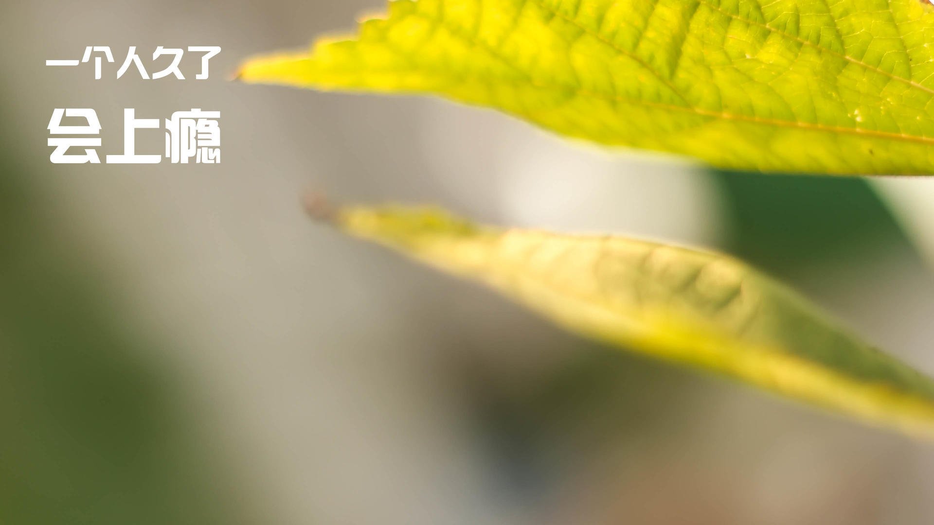 中国男篮攻守转换节奏加快 提升比赛节奏,中国男篮战术打法