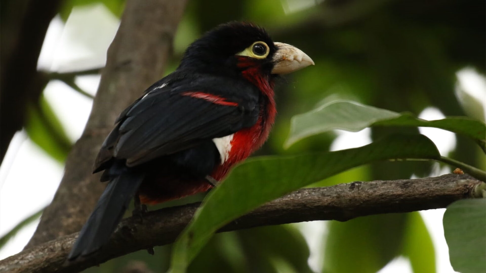 中超联赛竞争格局持续变化,中超联赛市场价值